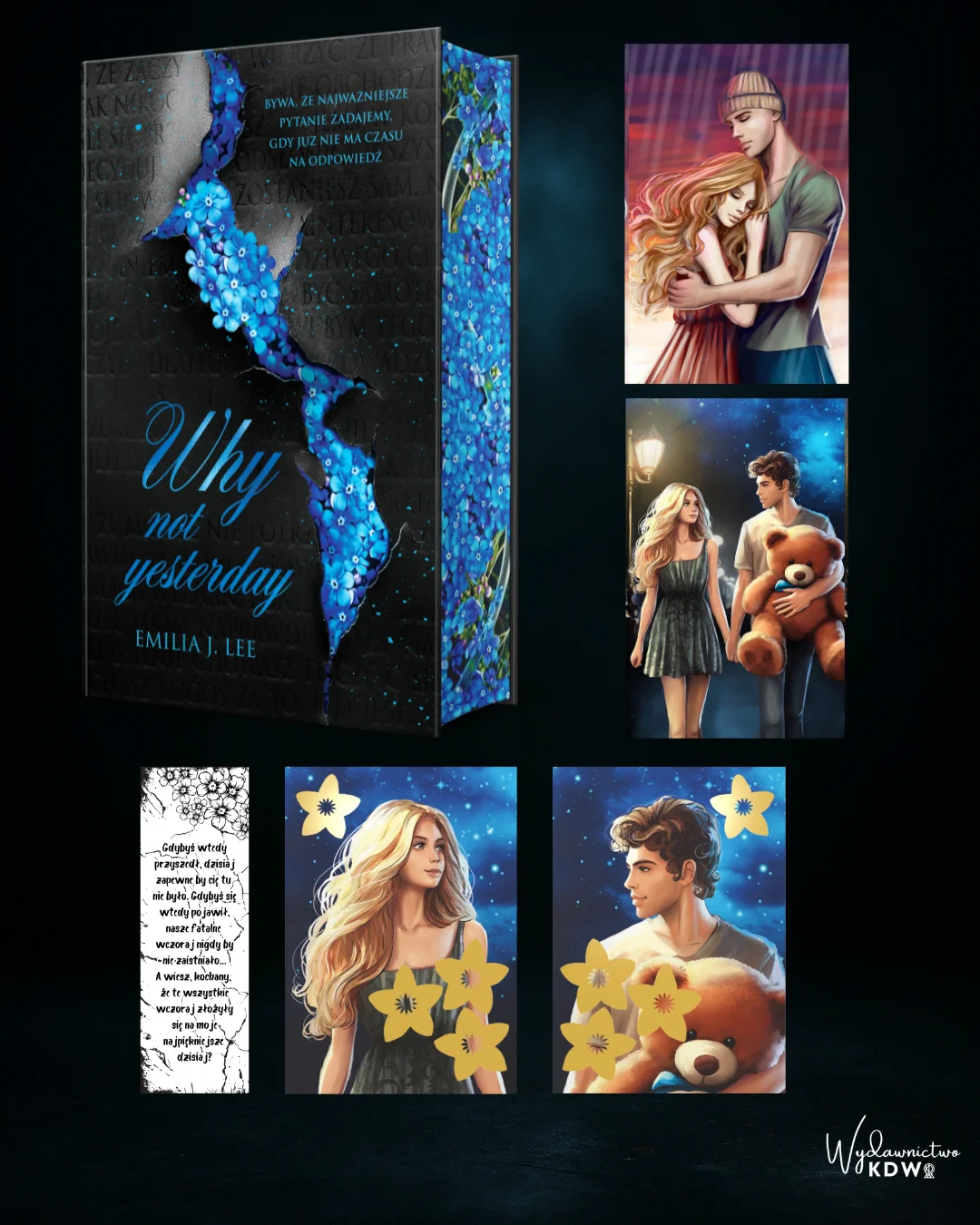 Why Not Yesterday Emilia J.Lee (zakładka gratis) - obrazek 6