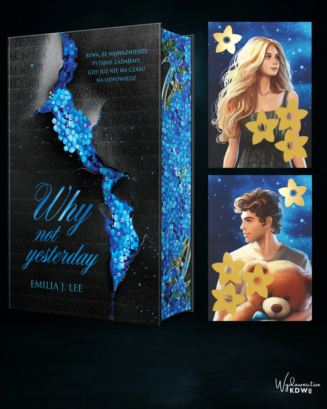 Why Not Yesterday Emilia J.Lee (zakładka gratis) - obrazek 5