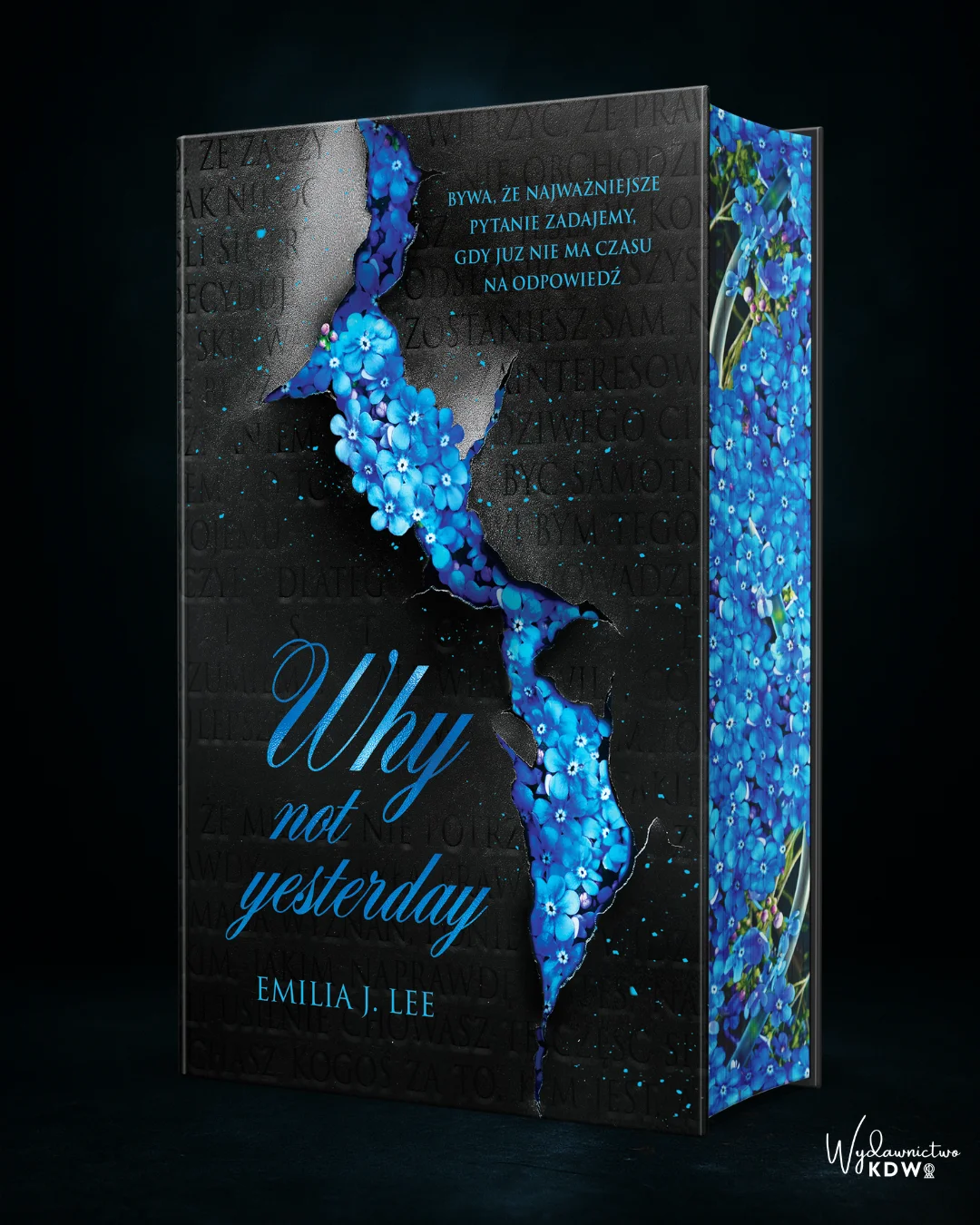 Why Not Yesterday Emilia J.Lee (zakładka gratis)