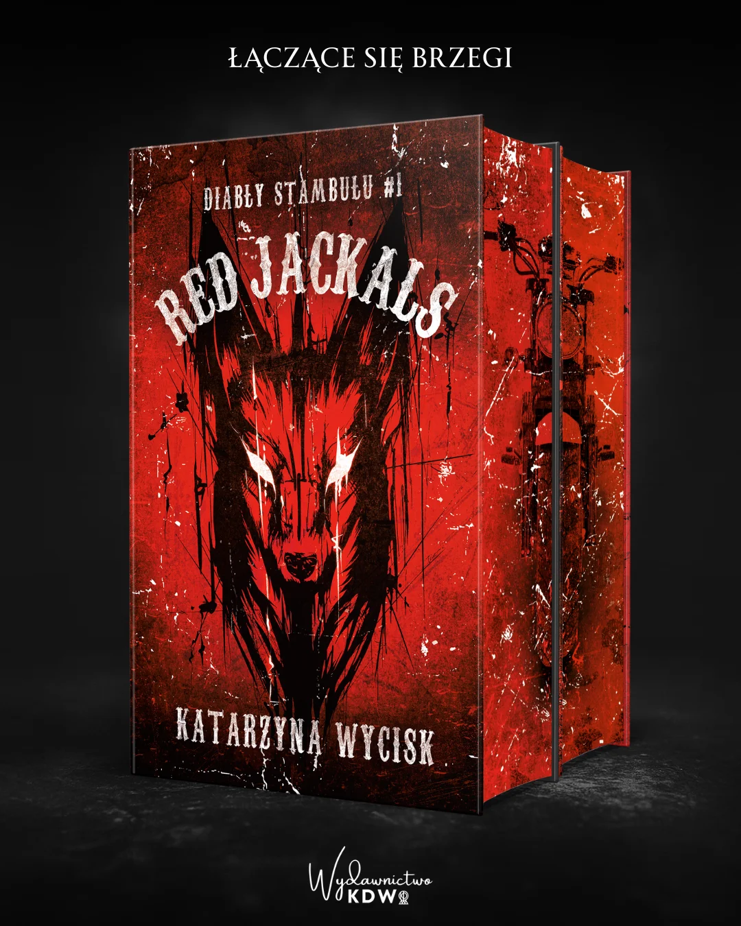 ❤️ Red Obsession Katarzyna Wycisk (zakładka gratis) - obrazek 4