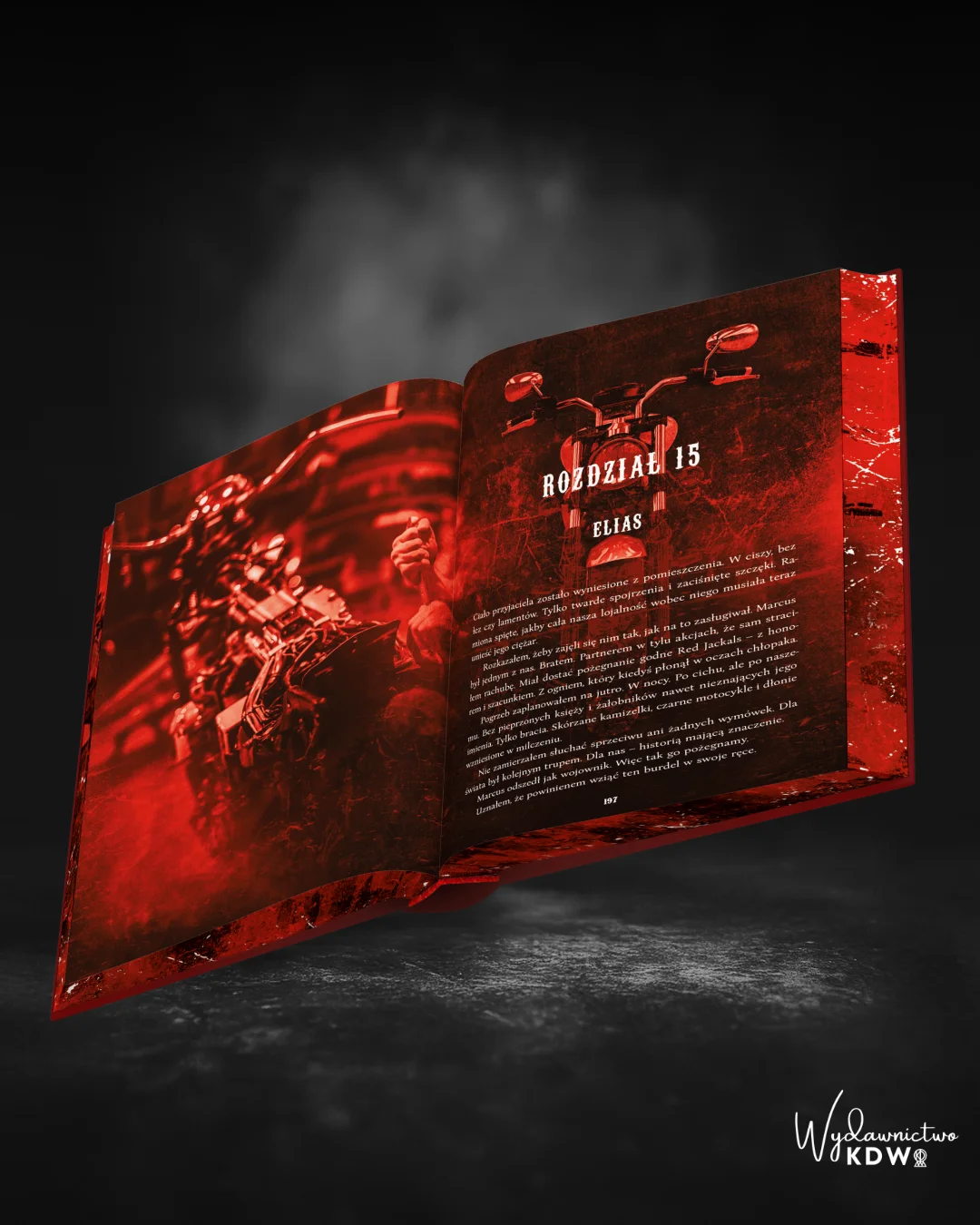 ❤️ Red Obsession Katarzyna Wycisk (zakładka gratis) - obrazek 7